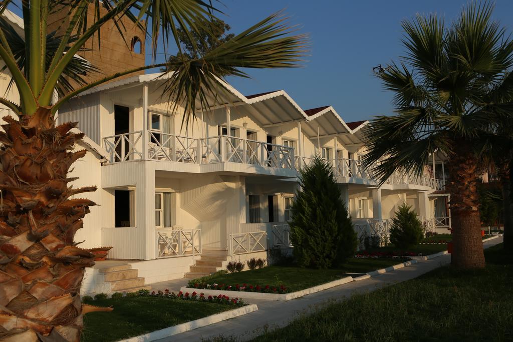 Risus Kusadası