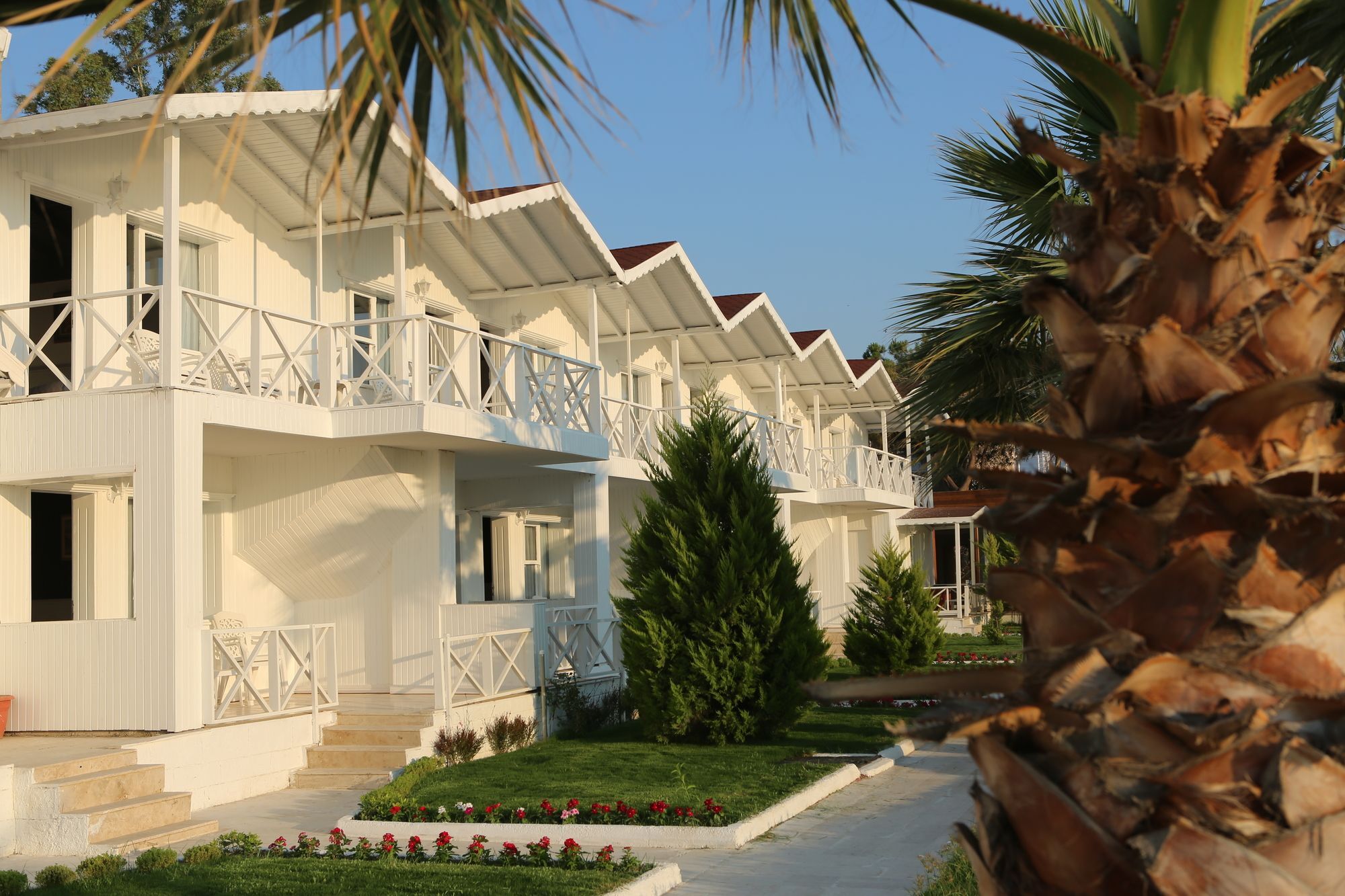 Otel Risus